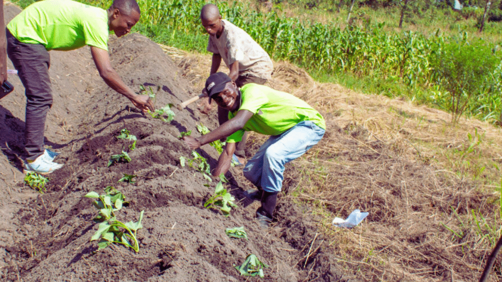 Agri Planet Africa’s CEO Joins Elite Global Agrifood Leadership Program