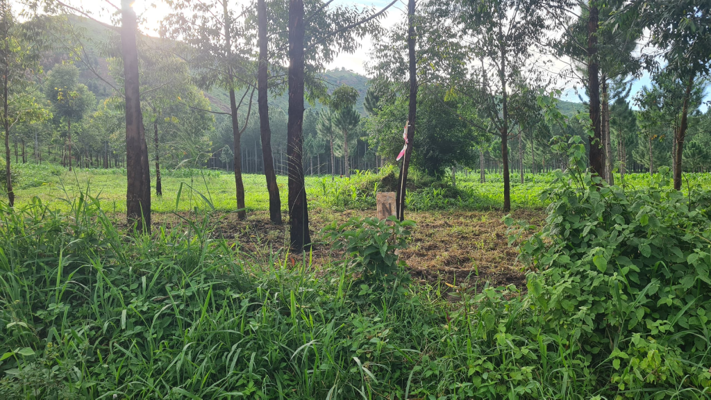 Standing with Kigulya: When Conservation Becomes Land Grabbing